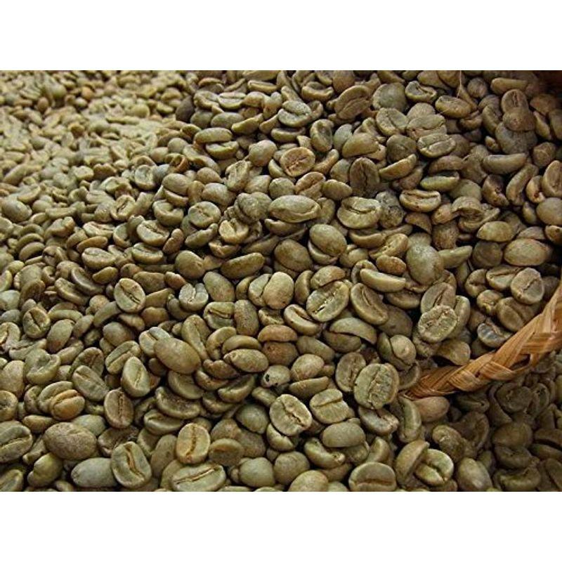 【新品 30%off 送料無料】 珈琲焙煎機コーヒーロースター Gene Cafe ジェネカフェ CBR-101A コーヒー豆 焙煎器 生豆 電動コーヒー焙煎機 ロースト機 【WSO1252306689】(45115円)