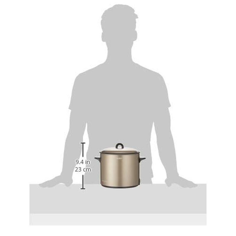 タイガー 電気フライヤー「はやあげ」CFE-A100-T タイガー 電気フライヤー はやあげ CFE A100