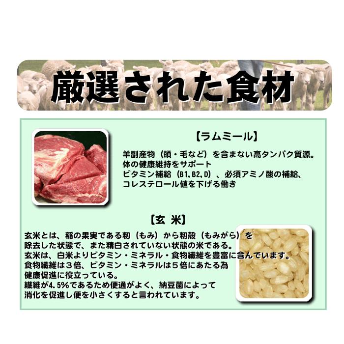 DRS.CHOICE ドクターズチョイス アダルト 成犬用 18kg