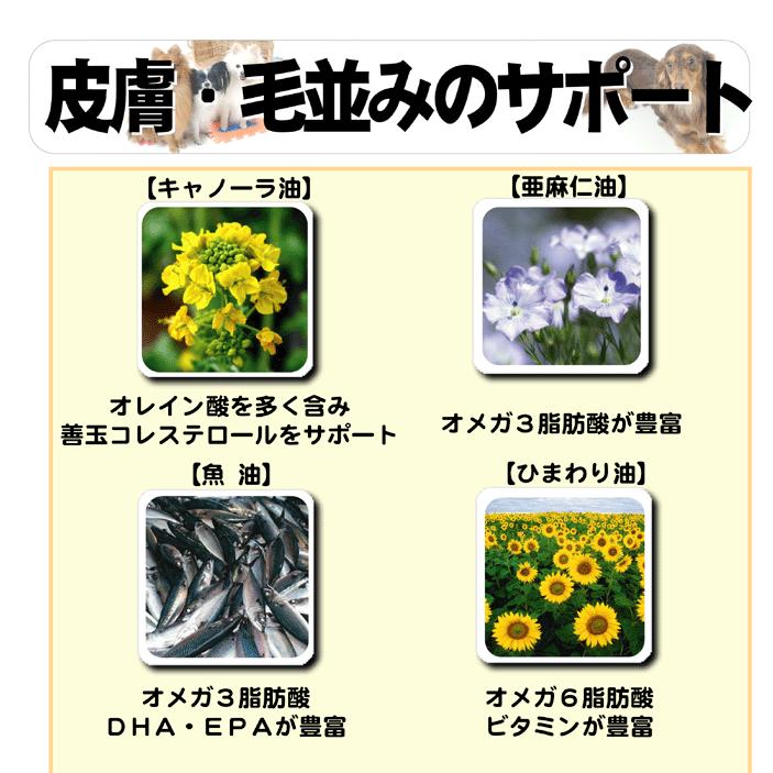 ドッグフード✖️3安値パピー用 Amazon.co.jp: ビルジャック シニア ドッグフード 無添加 超小型