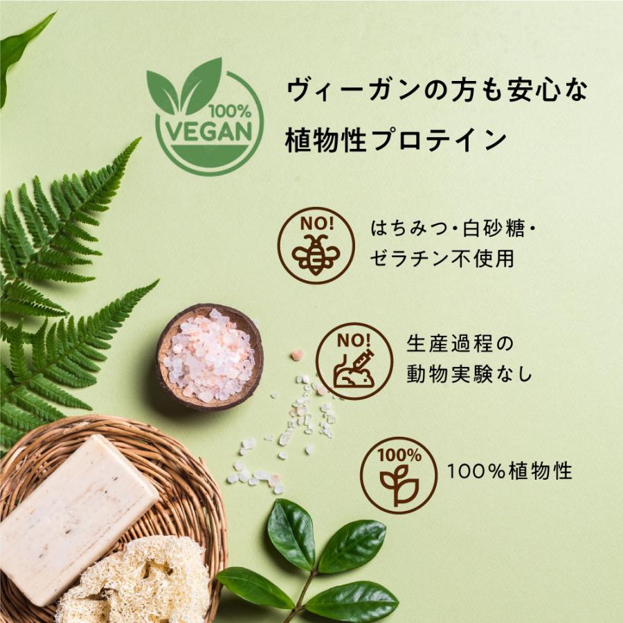 植物性プロテイン anoma アノマ 600g 人工甘味料不使用 ピープロテイン えんどう豆 女性 置き換え 美容 ダイエット ビーガン 鉄分 たんぱく質 BCAA アルギニン | anoma | 04