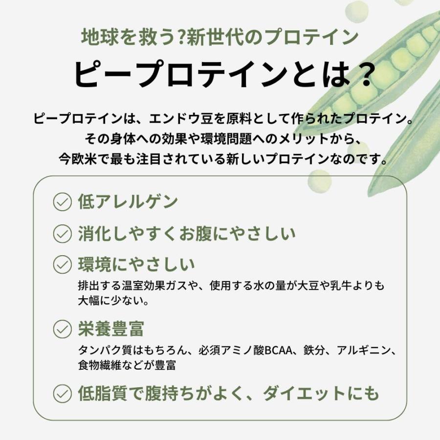植物性プロテイン anoma アノマ 600g 人工甘味料不使用 ピープロテイン えんどう豆 女性 置き換え 美容 ダイエット ビーガン 鉄分 たんぱく質 BCAA アルギニン | anoma | 08