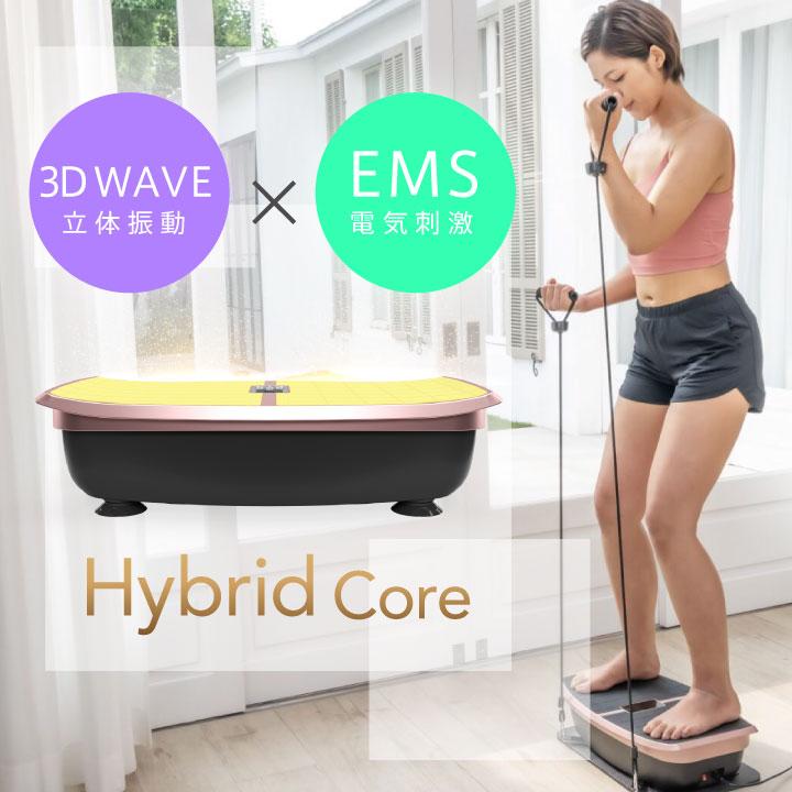 ほぼ新品】ハイブリッドコア HC-BB30 説明書あり ハイブリッドコア