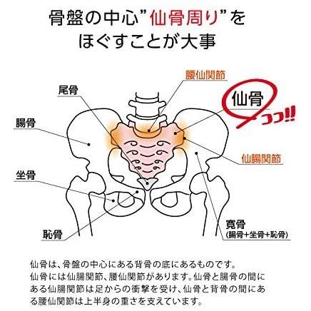 Proidea プロイデア コシレッチ 仙骨クッション 腰痛 クッション 姿勢 グッズ 改善 グッズ プレゼント 骨盤 クッション 骨盤矯正 ゆがみ 矯正 ギフト プレゼント Xx00 2772 らすた 通販 Yahoo ショッピング