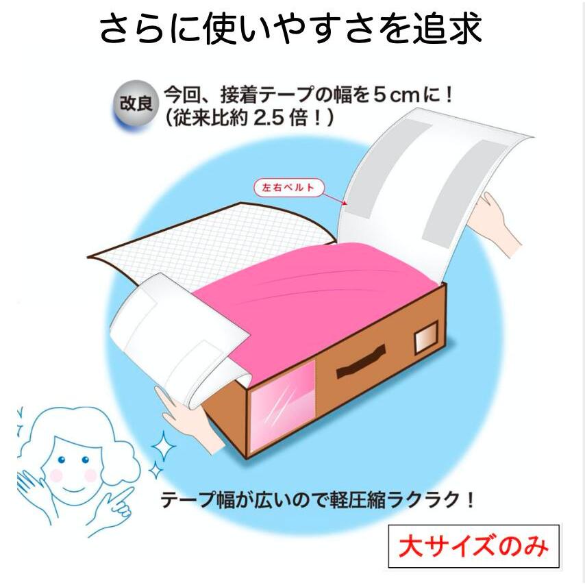 TEIJIN（テイジン） 乾っとパック ネイビー 小 2枚組 収納ボックス