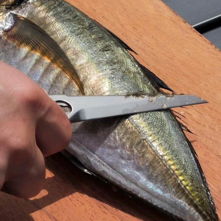 ALLES CHEF TOOL(アレスシェフツール) RATELWORKS ラーテルワークス  キッチンハサミ 多機能ハサミ 収納ケース付 キャンプ バーベキュー キッチン(RWS0228)予約 |  | 15