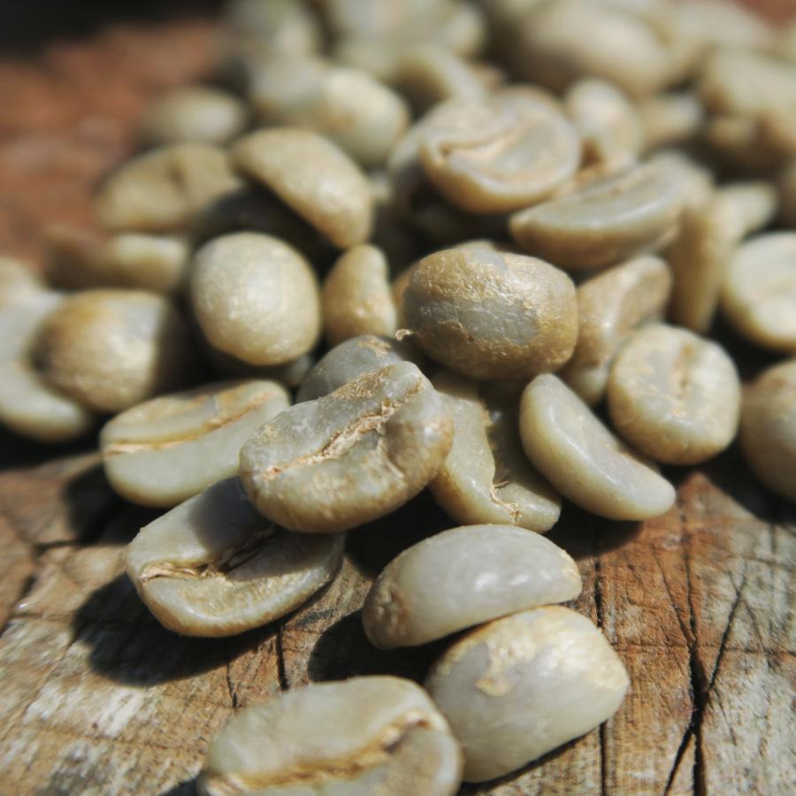 ネパール産コーヒー生豆 500g  / サランコット・ラトナ / 厳選ネパール産シングルオリジンコーヒー生豆500ｇ｜ratnahimalayancoffee｜03