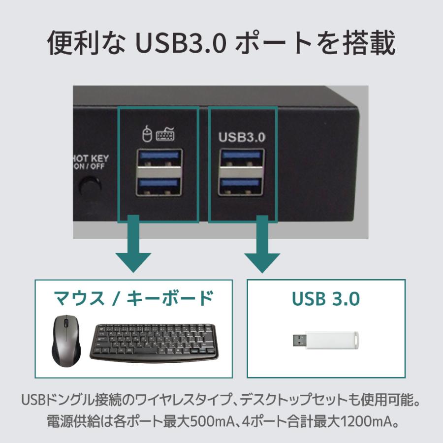 RATOC Systems（ラトックシステム） 4K60Hz デュアル ディスプレイ
