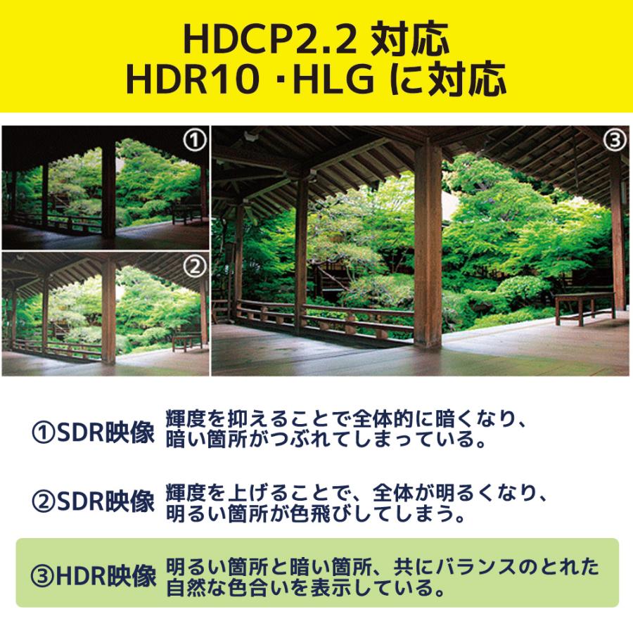 11/25〜28 P5倍＆最大2千円クーポン 4K60Hz対応 HDMI延長器 (100m) RS-HDEX100-4KA HDMI リピーター HDMI 延長｜ratoc｜07