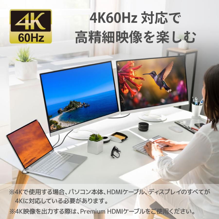 RATOC Systems（ラトックシステム） デュアルディスプレイアダプター