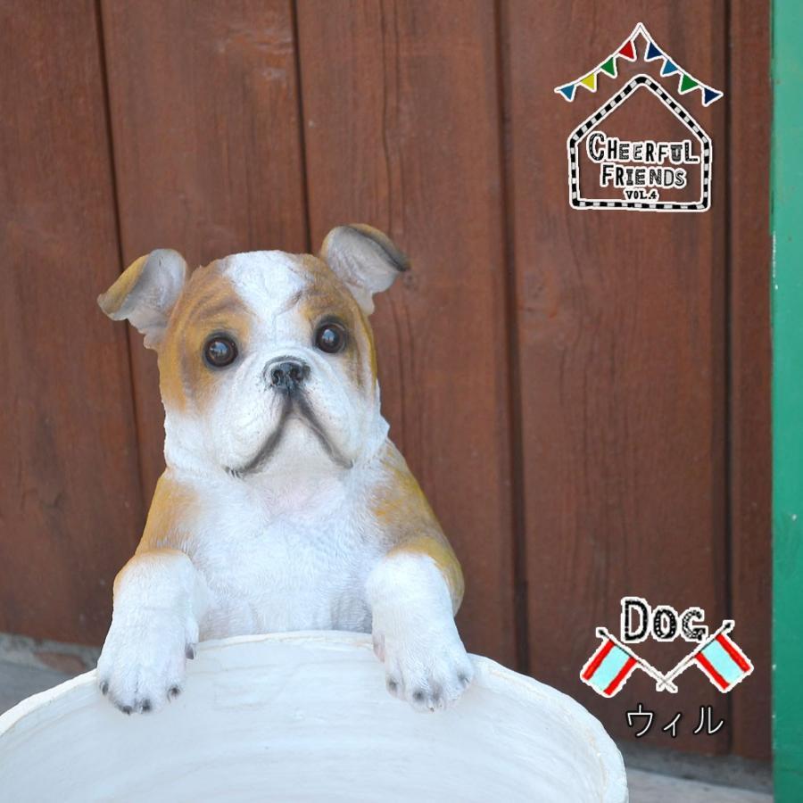 アメリカン雑貨　ブルドッグ 貯金箱 陶器製 Bulldog Coin Bank｜ブルドッグ貯金箱