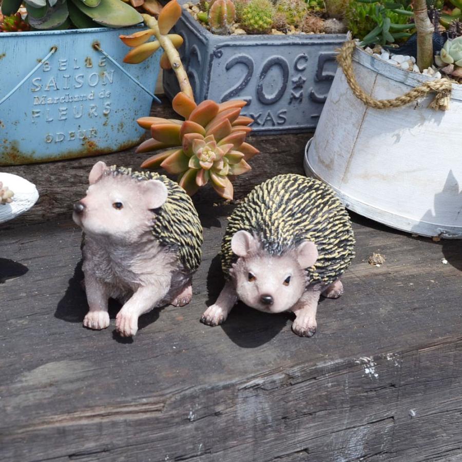 チアフルフレンズ ハリネズミ ボビー アーリー 置物 飾り Mk29 ラタンハウスかごや ヤフー店 通販 Yahoo ショッピング