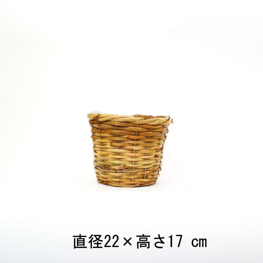 皮付きラタン鉢カバー S プランターカバー 5号用 籐かご : ラタン