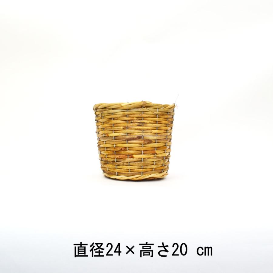 ACTUS 天然素材の籠　プランターカバー 皮付きラタン鉢カバー M プランターカバー 6号用 籐かご : ラタン