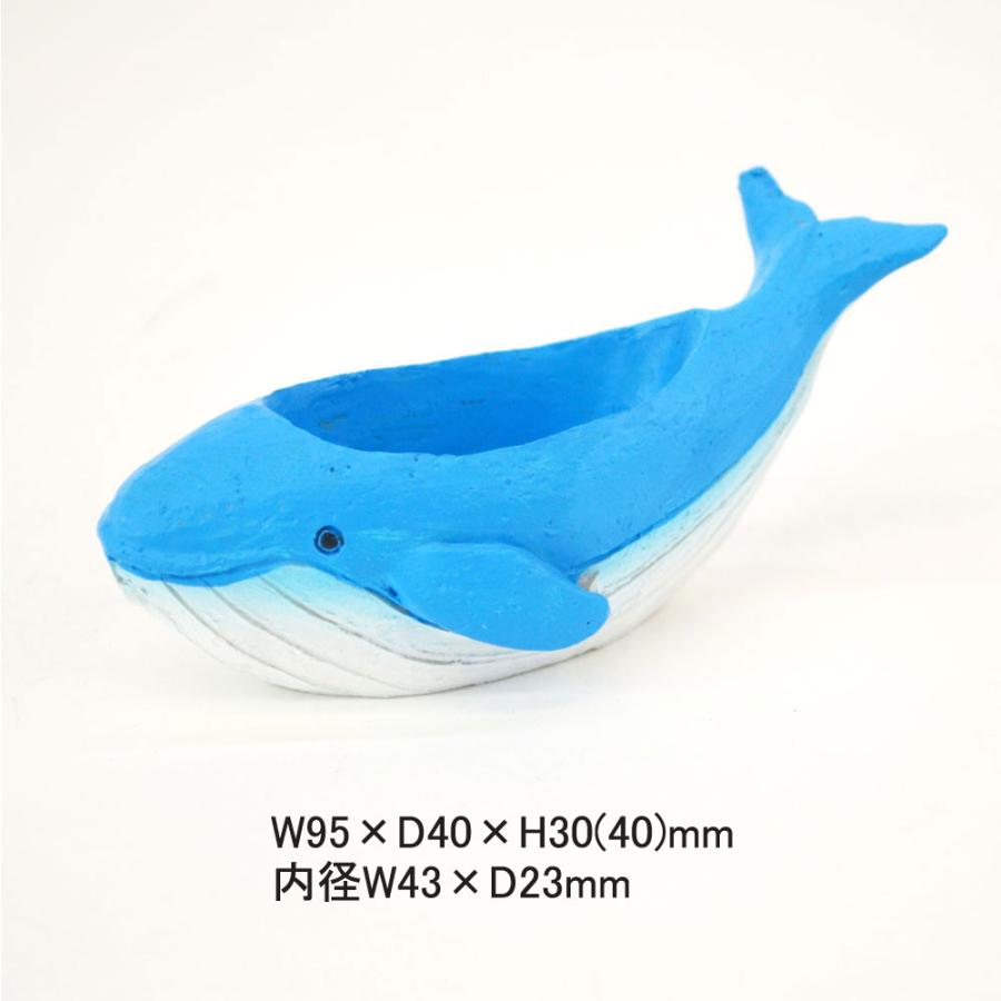 レジンミニチュアポット クジラ くじら 鯨 ホエール ミニ鉢 : ラタン