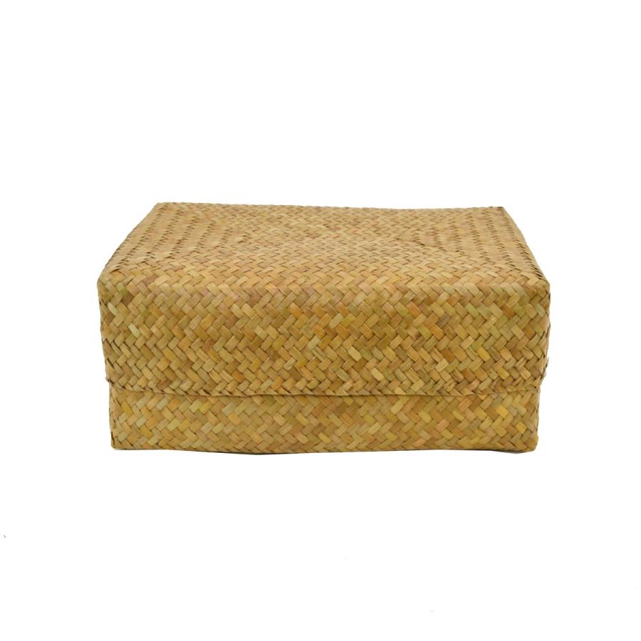 お値下げ　カチューカゴ　タイ製 タイ製 カチュー ふた付き 四角BOX M 葛籠 収納 水草 : ラタンハウス