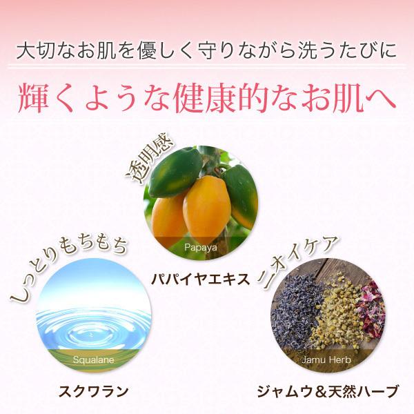 デリケートゾーン 石鹸 臭い 黒ずみ 保湿 対策 ケア ジャムウソープ 25g お試し ミニソープ ジャムウ スキンバランスソープ デリケート ハーバルソープ におい | RAVINA BEAUTY | 11