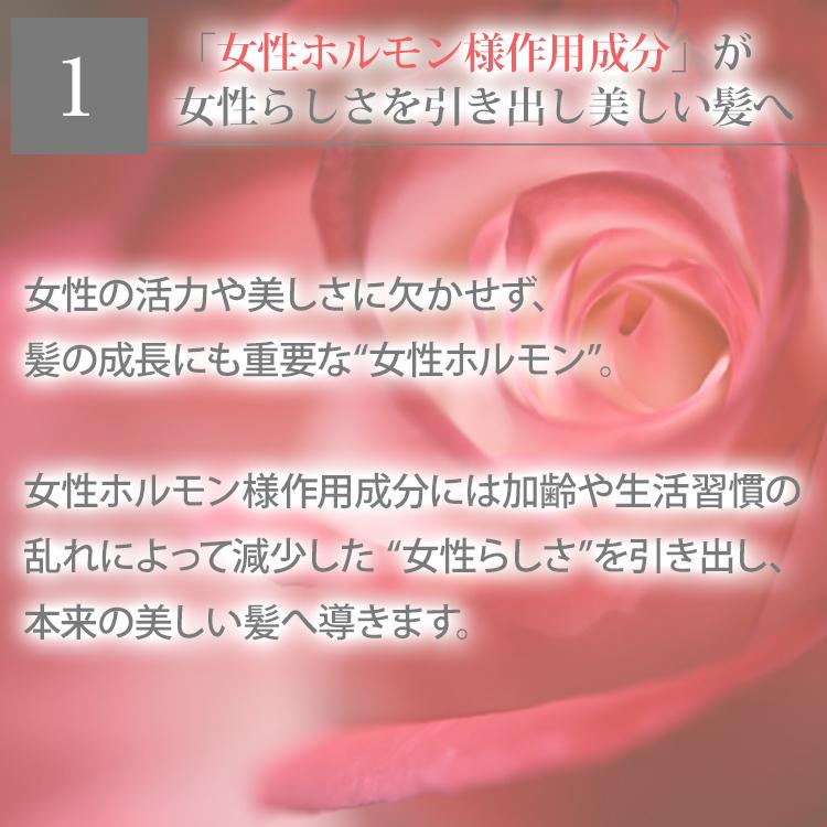 育毛剤 女性用 薬用 ヘアモア 詰め替え用エコパック お得6袋セット 抜け毛 予防 対策 Hairmore | Hairmore | 08