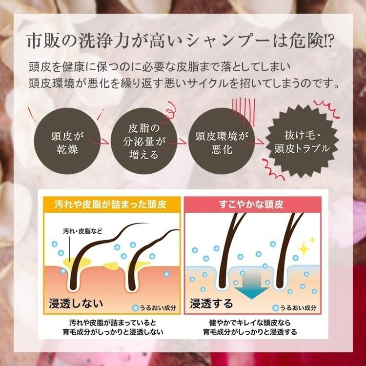 Hairmore（ヘアモア） ノンシリコンシャンプー 3本 セット スカルプ