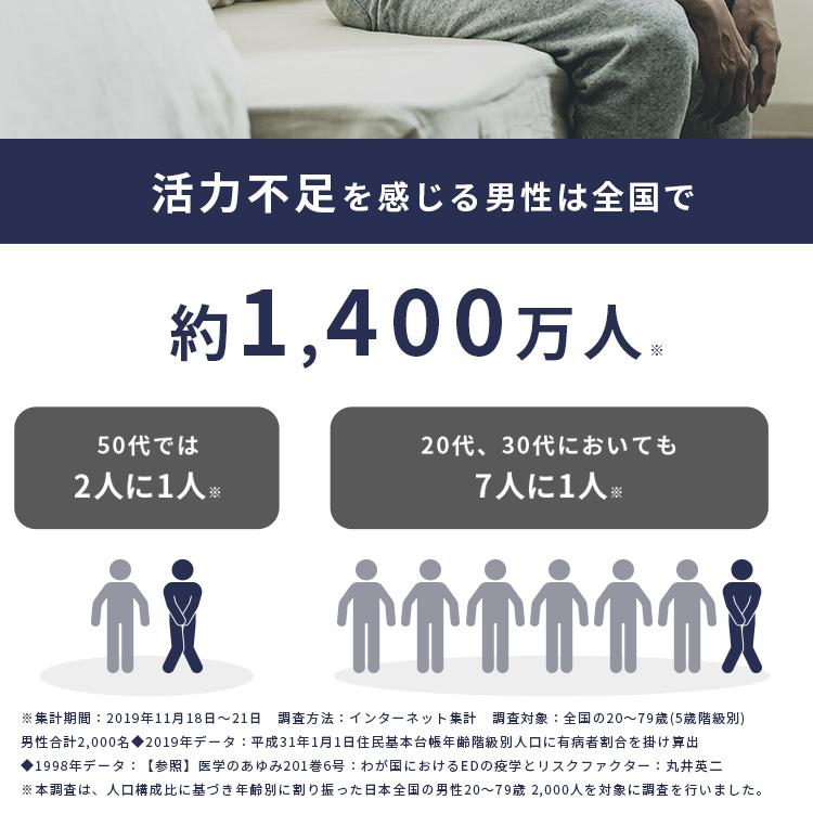 マカ 亜鉛 活力サプリ 活力剤 男性 zukachin ズッカチン お得 3袋