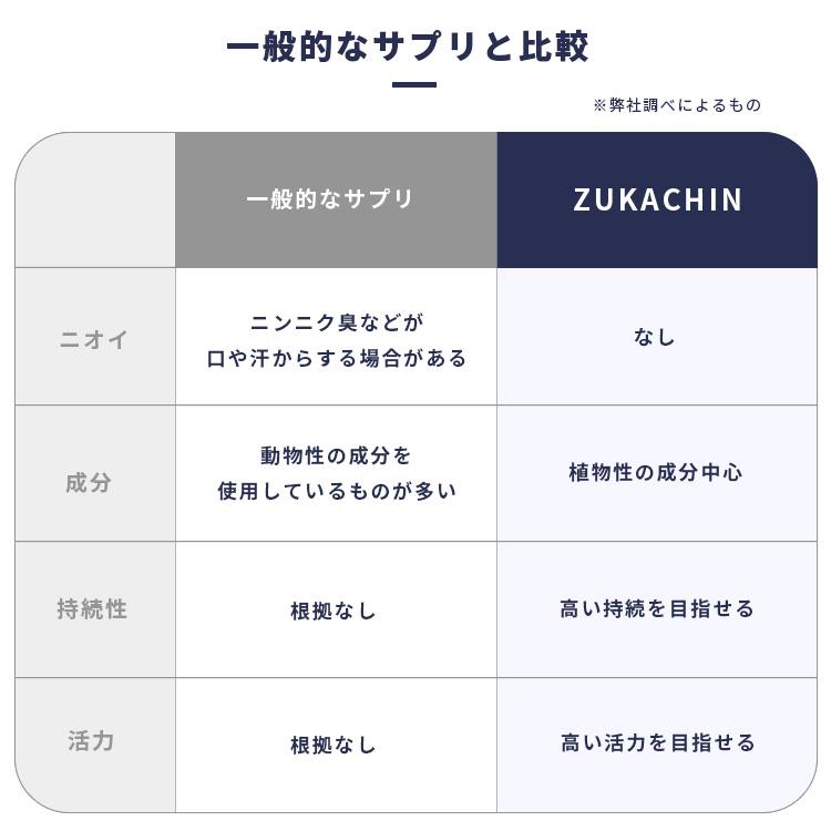 マカ 亜鉛 活力サプリ 活力剤 男性 zukachin ズッカチン お得 3袋