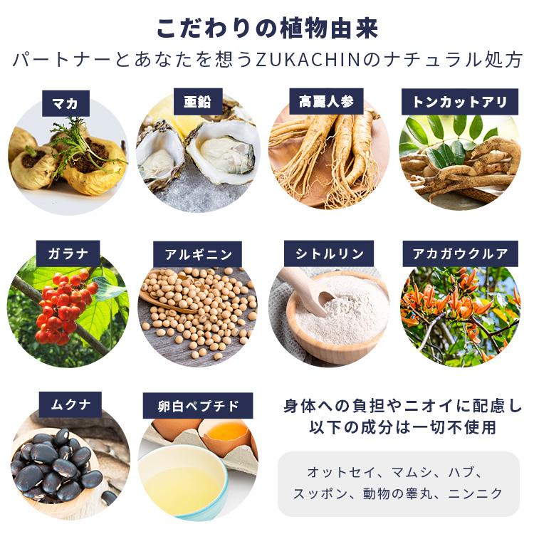 マカ 亜鉛 活力サプリ 活力剤 男性 zukachin ズッカチン 1袋60粒入り 