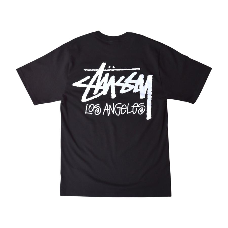 STUSSY（ステューシー） Stussy Chapter S/S Tee 