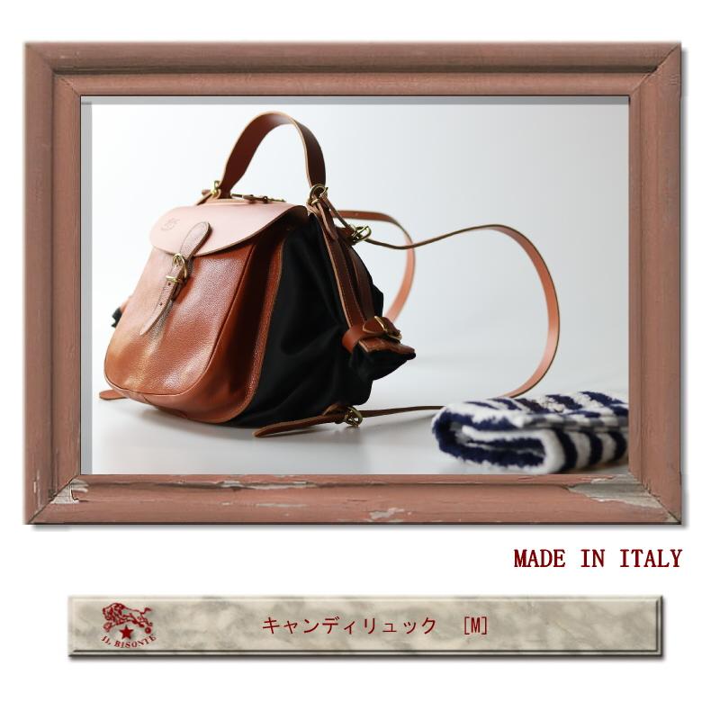 IL BISONTE（イルビゾンテ） バッグ レザーキャンディーリュック（ M