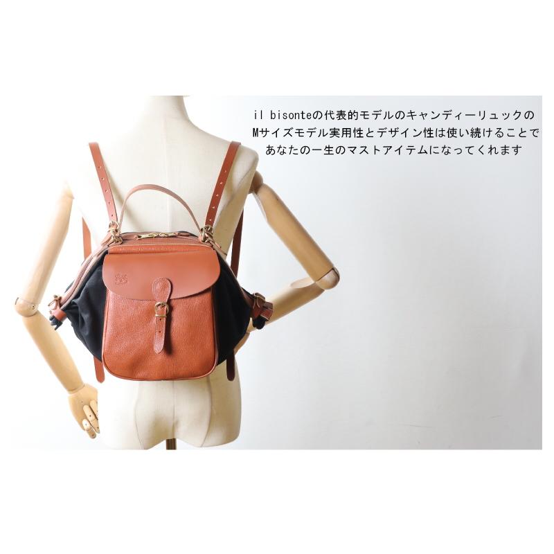 IL BISONTE（イルビゾンテ） バッグ レザーキャンディーリュック（ M