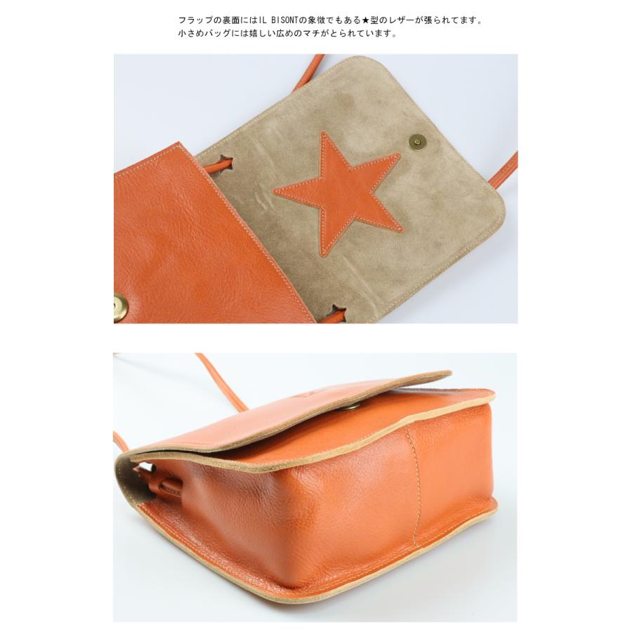 IL BISONTE イルビゾンテ バッグ フリーストラップ スター ショルダー 