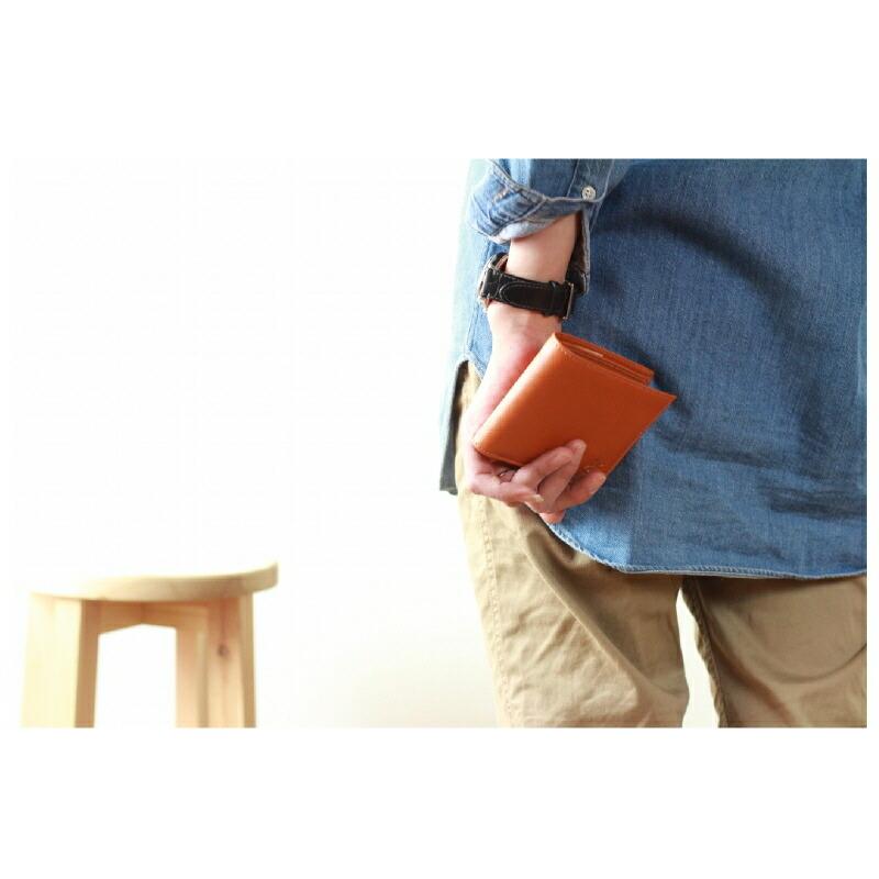 IL BISONTE（イルビゾンテ） 財布 IL BISONTE 2つ折ウォレットType-C二