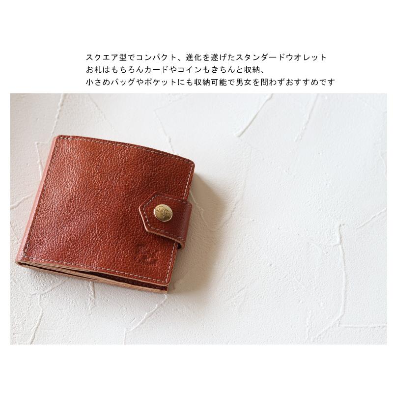 イルビゾンテ 財布 IL BISONTE 二つ折りスクエアウォレット（ poinntedベルト ） 二つ折り財布 54_1_ 54202310540 レディース  ( 商品番 号 IB-20-10540 )の画像