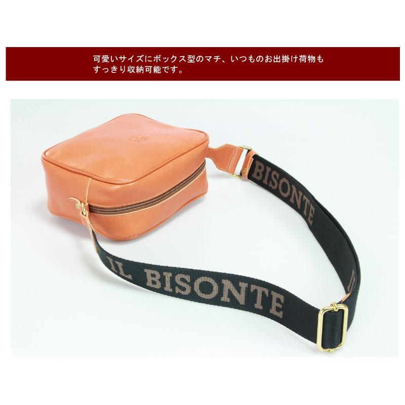 IL BISONTE イルビゾンテ バッグ コットンベルト ボックス