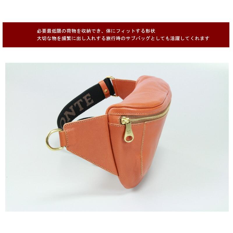 IL BISONTE イルビゾンテ バッグ ボディーバッグ 54_1_