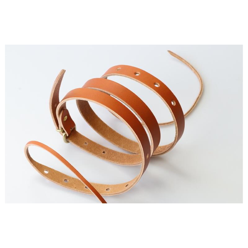 IL BISONTE イルビゾンテ カメラストラップ カメラ用ストラップ レザー