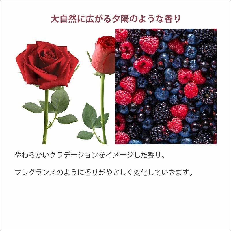 ⭐ミルボン　エルジューダ エマルジョン 4本セット⭐新品・未使用 楽天市場】ミルボン ディーセス エルジューダ エマルジョン 4本