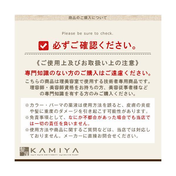 b-ex スロウ ファッション カラー 100g 第1剤【ヴァイオレット】:V/10【メール便対応4個まで】 |  | 02