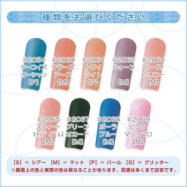 バイオスカルプチュア（バイオジェル）カラージェル 4.5g