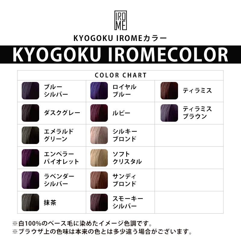 【ばら売り可】KYOGOKU IROME　カラー剤　まとめ売り　カラーチャート KYOGOKU PROFESSIONAL KYOGOKU IROMEカラー 1剤 100g | 【メール便対応