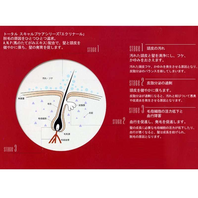 デミ 薬用 エクリナール スキャルプシャンプー 300ml 1個 ＋ エクリナール スキャルプコンディショナー 300ml 1個 計2個 お試しセット 美容院専売 |  | 02