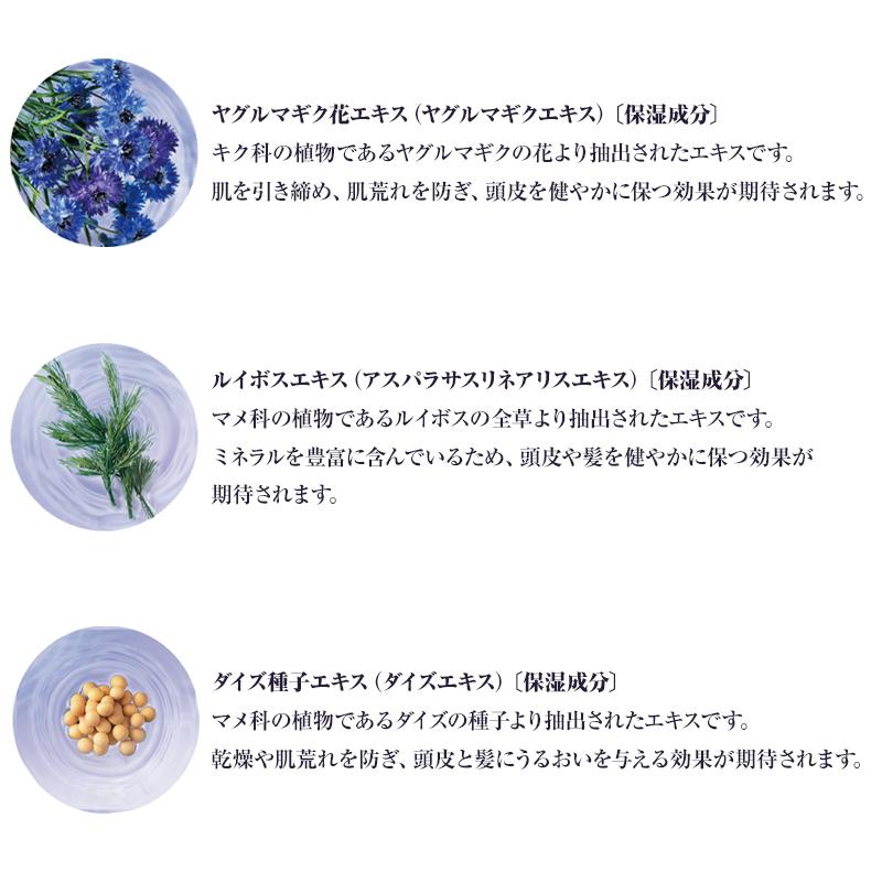 デミ ビオーブ ピュリム リペアスキャルプトリートメント 2000g 詰替用|NC4 年齢 エイジングケア シリコンフリー ノンシリコン 薬用 医薬部外品 スキャルプ | Biove | 03