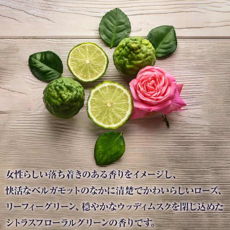 デミ ビオーブ ピュリム リペアスキャルプシャンプー 450ml + トリートメント 450g 計2個 詰替用セット | 【メール便対応1個まで】 NC6 年齢 エイジングケア |  | 04