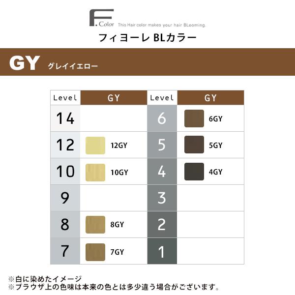 FIOLE（フィヨーレ） BLカラー 第1剤 グレイ イエロー 120g|カラー剤
