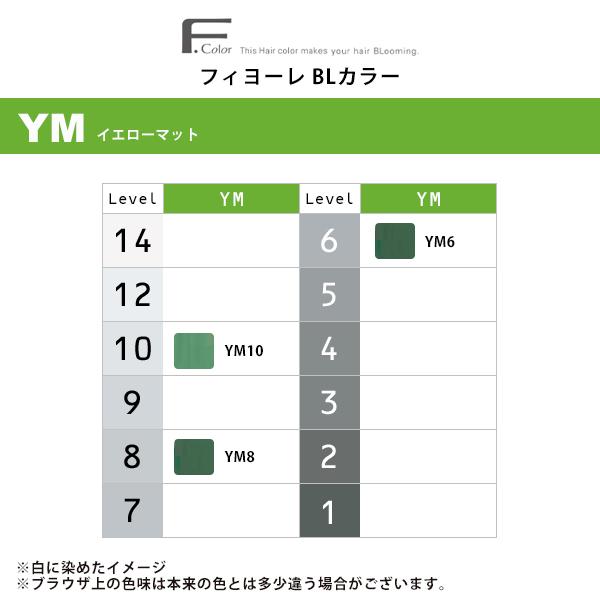 フィヨーレ　カラー剤108本 FIOLE フィヨーレ BLカラー 6GN 120G : BeautyPro Magica - 通販