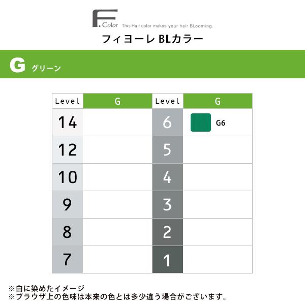 FIOLE（フィヨーレ） BLカラー 第1剤 グリーン 120g：G6|カラー剤 染毛