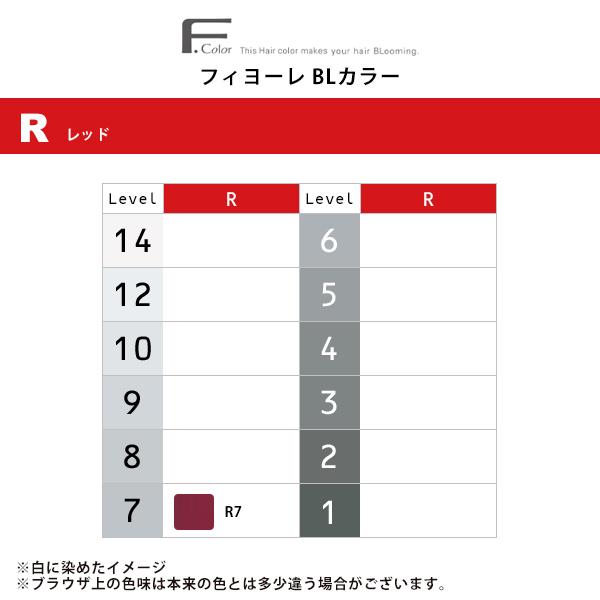 FIOLE（フィヨーレ） BLカラー 第1剤 レッド 120g：R7|カラー剤 染毛剤