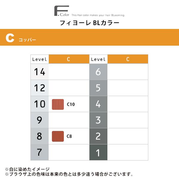 FIOLE（フィヨーレ） BLカラー 第1剤 コッパー 120g|カラー剤 染毛剤
