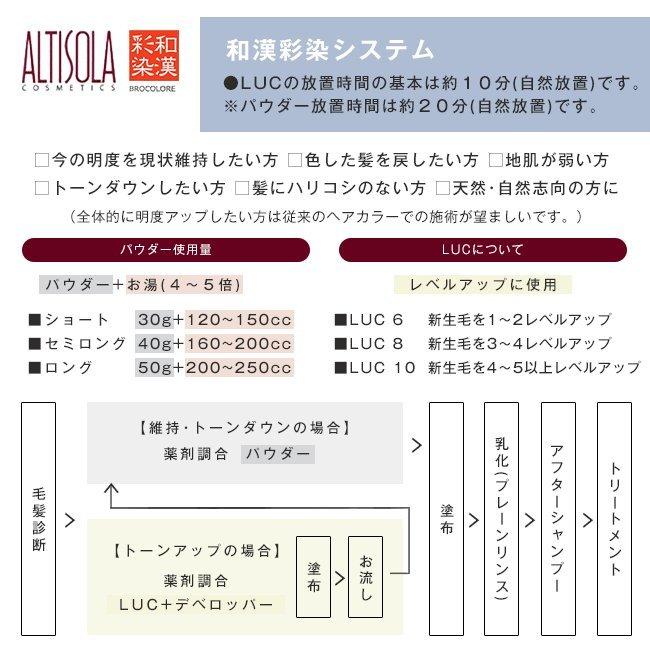 グランデックス アルティゾラ 和漢彩染 十八番 ブロコローレ 120g|業務