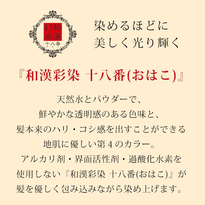 グランデックス アルティゾラ 和漢彩染 十八番 ブロコローレ 120g|業務