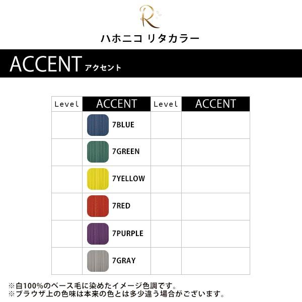 HAHONICO（ハホニコ） 正規品 リタカラー アクセント 1剤 100g